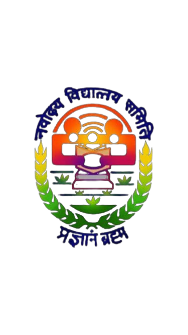 NVS